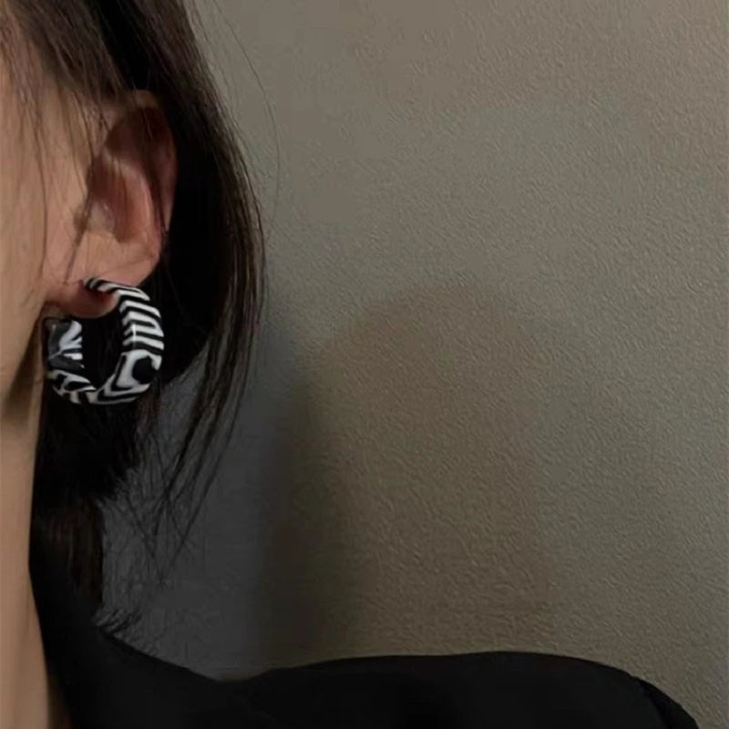 2026 New Fashion Exaggerated Zebra Pattern Acrylic Earrings for Women Black White Sexy Zebra Teardrop Jewelry Wholesale Earring