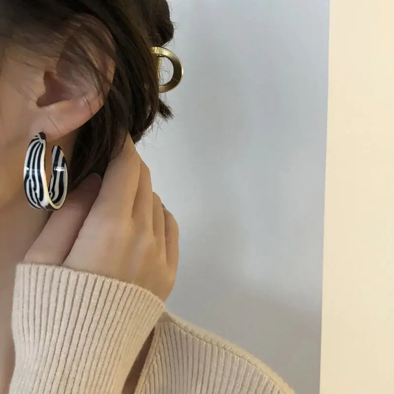 2026 New Fashion Exaggerated Zebra Pattern Acrylic Earrings for Women Black White Sexy Zebra Teardrop Jewelry Wholesale Earring